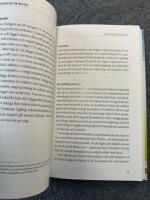 Ledarskap p&aring; bes&ouml;k : 15 framg&aring;ngsfaktorer f&ouml;r att lyckas som interimschef