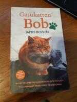 Gatukatten Bob
