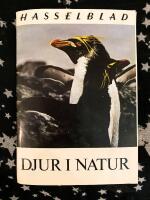 Hasselblad - Djur i natur