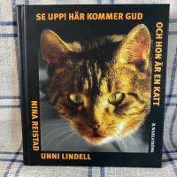 Se upp! H&auml;r kommer Gud och hon &auml;r en katt