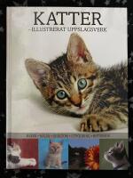 Katter - illustrerat uppslagsverk