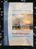 Systemgrupper och innovativ problemlösning