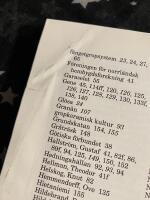 Norrlands forntid : ett historiskt perspektiv