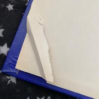 Stora hj&auml;lpredan - Boken om bostad och bohag 