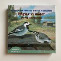 F&aring;glar vi m&ouml;ter p&aring; v&auml;g mot stranden (o&ouml;ppnad)