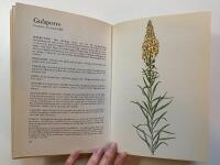 H&auml;lsov&auml;xter : K&auml;nnetecken, odling, anv&auml;ndning - 112 teckningar i f&auml;rg