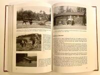 Dellenbygdens rike - Tider som varit