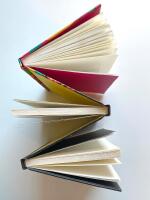 3 x C&eacute;sar Aira : en introduktion (Litteraturkonferensen, N&auml;tterna i Flores & En episod i den resande landskapsm&aring;larens liv )