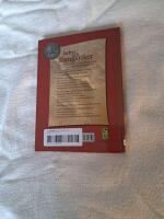 Jarlen och Kungariket - en ber&auml;ttelse om Birger Jarl