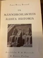 Ur m&auml;nniskosl&auml;ktets &auml;ldsta historia