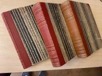 Tidens konsthistoria. Bildkonsten genom &auml;rhundradena