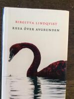 Resa &ouml;ver avgrunden