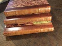 Den gudomliga k9medin