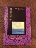 Stillbilder : att se och f&ouml;rst&aring; : bibelmeditationer