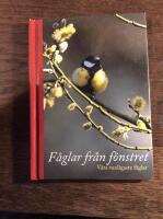 F&aring;glar fr&aring;n f&ouml;nstret : v&aring;ra vanligaste f&aring;glar