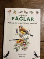 En guide till f&aring;glar