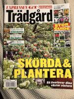 Tr&auml;dg&aring;rd augusti 2005