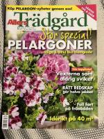 Allers Tr&auml;dg&aring;rd nr2 2010