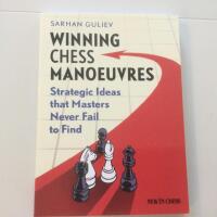 Winning Chess Manoeuvres. Strategic Ideas that Masters Never Fail to Find