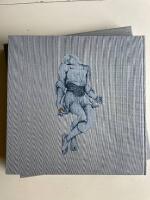 Reflections of a world : a view of Wagner's Ring