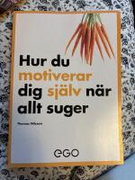 Hur du motiverar dig sj&auml;lv n&auml;r allt suger