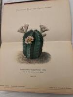Gesamtbeschreibung der Kakteen Nachtr&auml;ge 1898 bis 1902