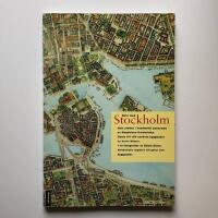 N&auml;ra inp&aring; Stockholm : hela staden i handm&aring;lat panorama