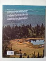 Sydsamer - fr&aring;n Bottenhavet till Atlanten : en historisk introduktion till samerna i &Aring;ngermanland och &Aring;sele lappmark med angr&auml;nsande delar av J&auml;mtland och Norge