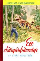 Ett sk&auml;rg&aring;rds&auml;ventyr