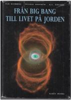 Fr&aring;n Big Bang till livet p&aring; jorden