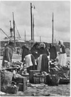 &Auml;nkan som inte s&ouml;rjde