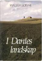 I Dantes landskap