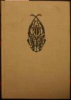 Den stora insektsboken