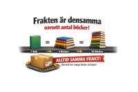 F&ouml;rsta valpskolan : allt du beh&ouml;ver veta f&ouml;r att f&aring; en perfekt valp