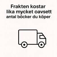 Eldvittnet - kriminalroman