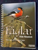 F&aring;glar fr&aring;n f&ouml;nstret : k&auml;nn igen v&aring;ra vanligaste f&aring;glar