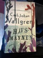 Havsmannen - roman