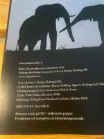 Under Afrikas himlar : M&ouml;ten med vildhundar och andra djur p&aring; savanner