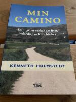 Min Camino : en pilgrims tankar om livet, ledarskap och lite hockey