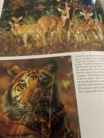 Safari till v&auml;rldens finaste viltomr&aring;den