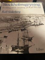 Stockholmsgryning - en fotografisk vandring p&aring; Karl XV:s tid