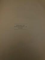 En storstads skuggsidor 