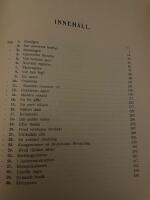 En storstads skuggsidor 