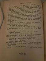 En storstads skuggsidor 