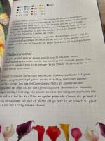 Skapa med p&auml;rlplattor : smycken, tavlor,spel & mycket mer