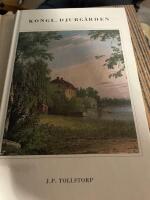 Djurg&aring;rden : historisk-statistik