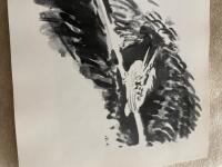 Harry Martinsons och Bj&ouml;rn von Rosens Nya bestiarium