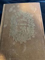 Don Quixote La Mancha 