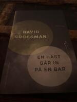 En h&auml;st g&aring;r in p&aring; en bar