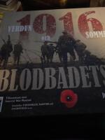 1916 blodbadets &aring;r : Verdun och Somme